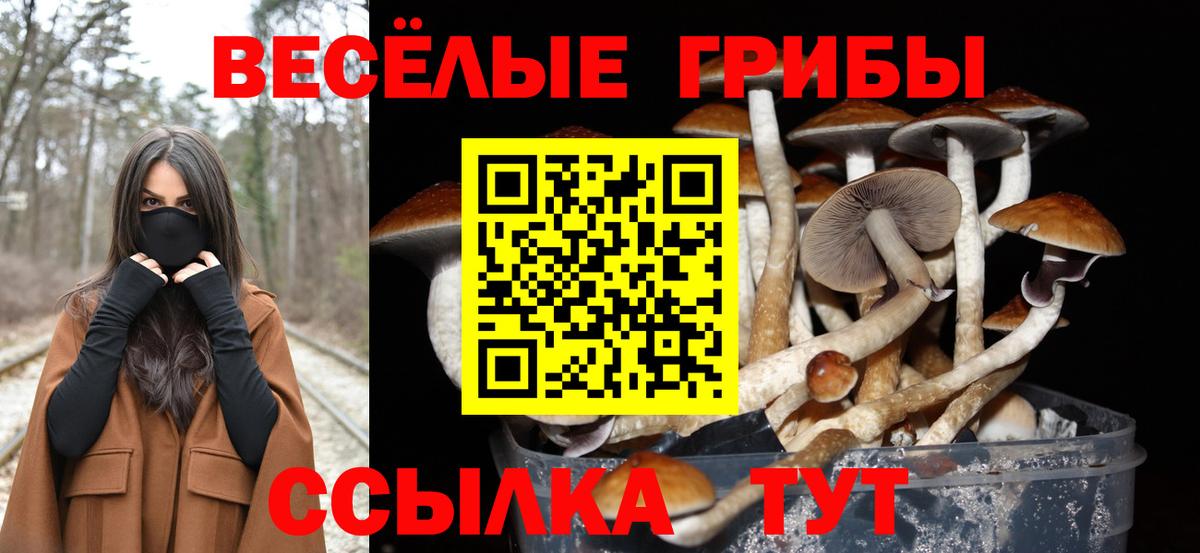 Галлюциногенные грибы Cubensis Калининград