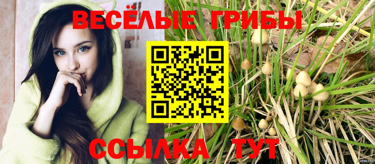 Галлюциногенные грибы мухоморы  Вход с VPN  Калининград  Галлюциногенные грибы ЛСД 